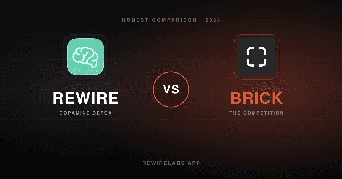Rewire vs Brick, visual cover